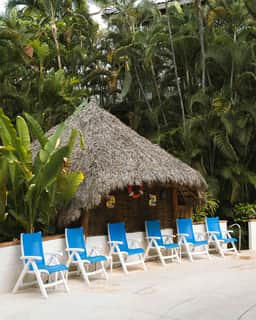 Rustic Ground Floor Haven Surrounded by Nature - Image 5