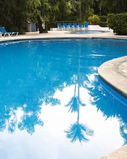 Bright Tropical Stay | Near Beach & Hotel Zone - Image 3