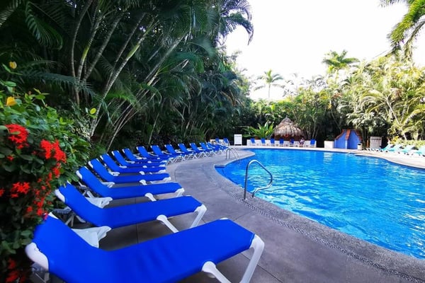 Resort swimming pool with rows of blue lounge chairs, surrounded by tall palm trees and tropical vegetation